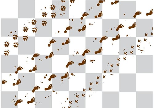 Muddy Footprints Vectors 