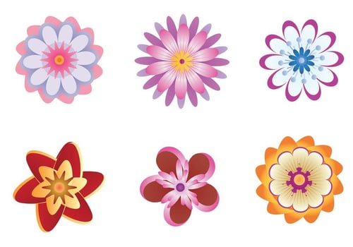 Colorful Polynesian Flower Vectors 