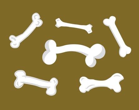 Isolated Dog Bone Background vector