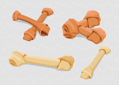 Dog Bone Isolated Vectors 