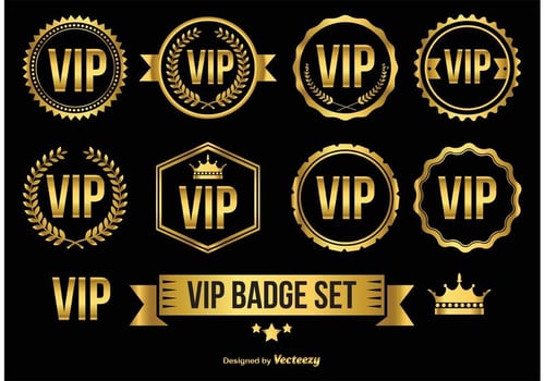 Gold VIP Badges  Icons vector