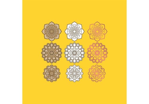 Indian Designs vector