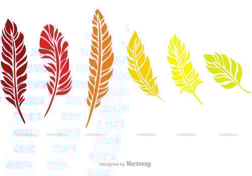 Colorful Feather Vector Pack