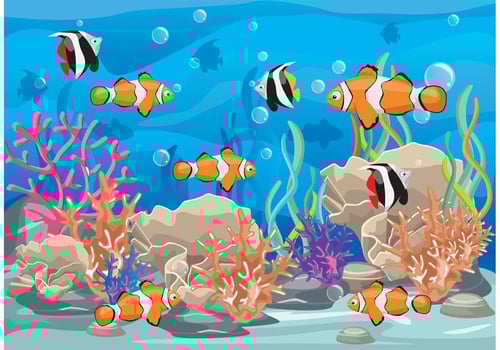 Coral Reef with Fish Vector