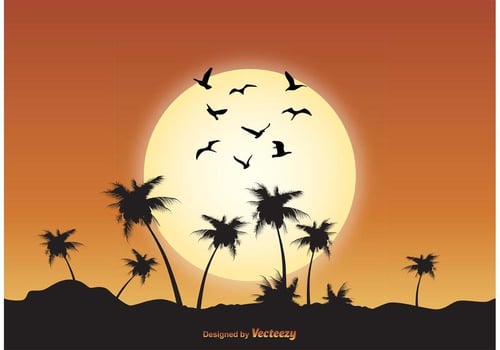 Tropical Scene Illustration vector
