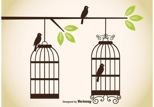 Vintage Birdcage Vectors