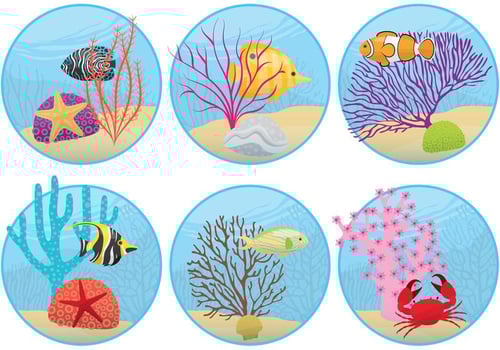 Mini Coral Reefs vector