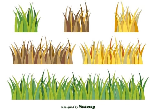 Vector Grass 