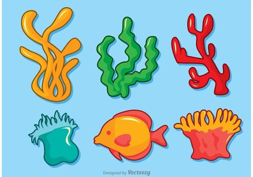 Set Of Coral Reef Vector