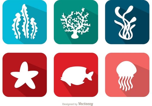 Flat Coral Reef And Fish Vectors