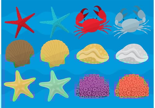 Sea Life Vectors