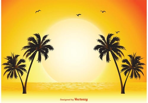 Tropical Scene Illustration vector