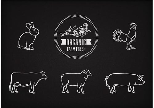 Vector Farm Animals On Chalkboard
