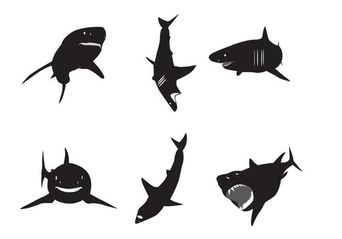 Vector Great White Shark Silhouettes