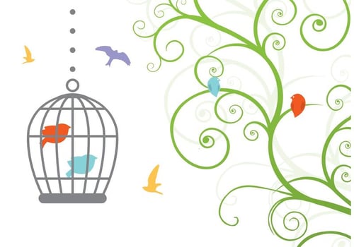 Swirly Vintage Bird Cage Vector 