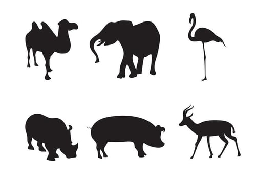 Free Vector Animals
