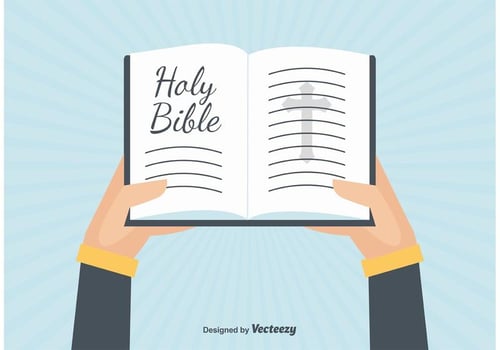 Open Bible Illustration vector