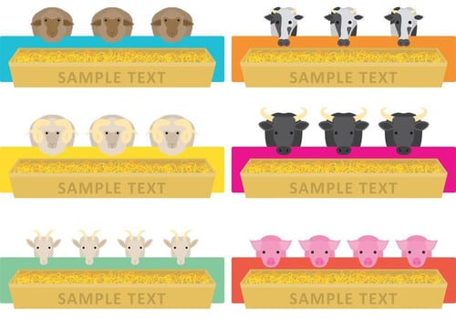 Farm Animal Feeding Trough Vectors 