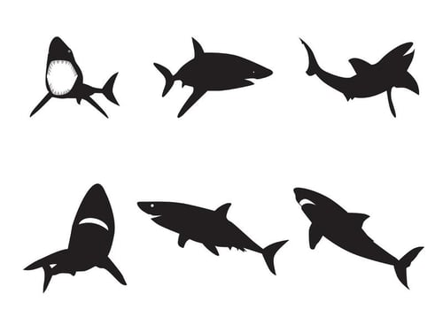 Vector Shark Silhouettes 