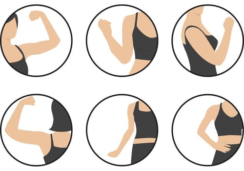 Women Biceps Vectors Icons