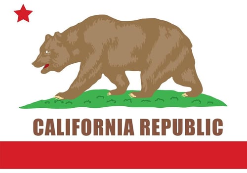 California Bear Vector 
