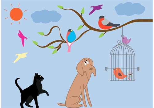 Vintage Bird Cage and Animal Vectors 