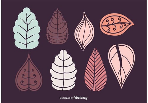 Autumn  Winter Leaves Vector Set