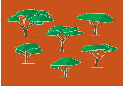 Acacia Tree Vectors 