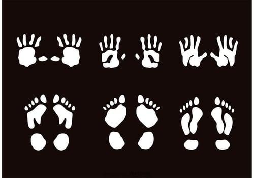 Child Handprint And Footprint Vectors