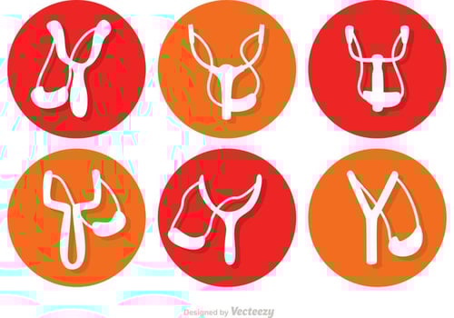 Slingshots Vectors