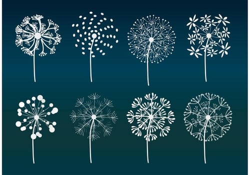 Dandelion Vectors