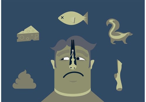 Stinky Things Free Vector