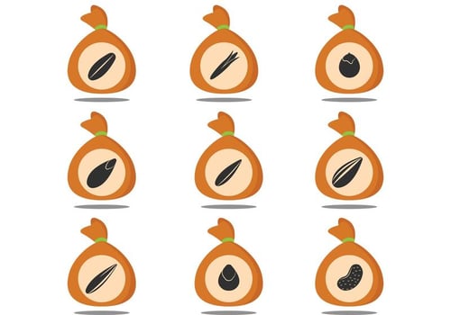 Seed Packet Vectors