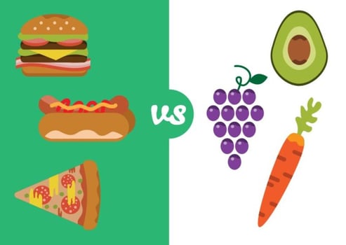 Healthy Food Versus Bad Food vector