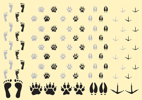 Walking Away Footprint Vectors