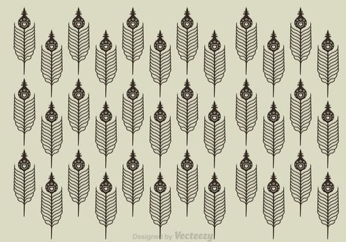 Peacock Feather Pattern vector