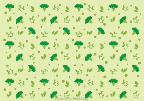 Broccoli Pattern Vector