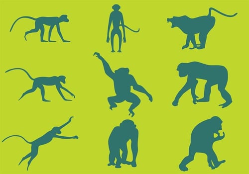 Monkey Silhouettes Vectors 