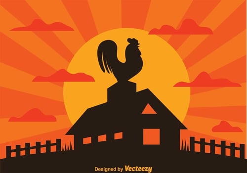 Rooster On Farm Silhouette vector