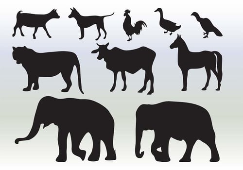 Animals Silhouette Collection vector