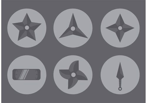 Ninja's Star Icon vector