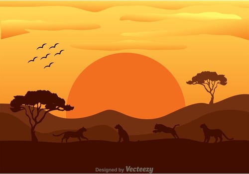 Vector Tiger In Africa