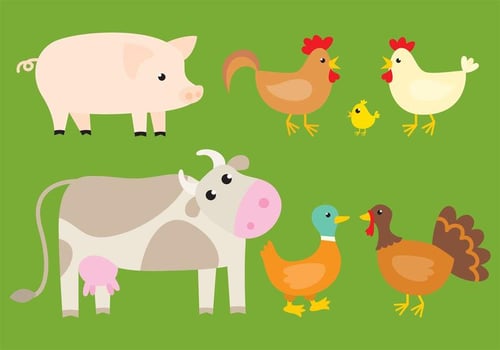 Vector Cute Animal Farms