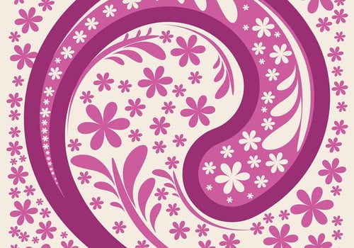 Pink Paisley Background Vector