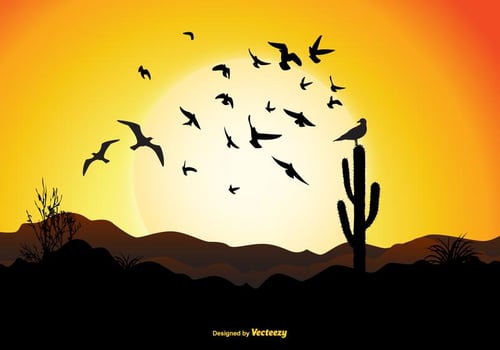 Flying Bird Sunset Scene vector