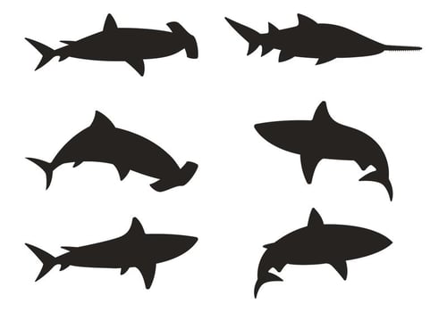 Shark Silhouette Vectors