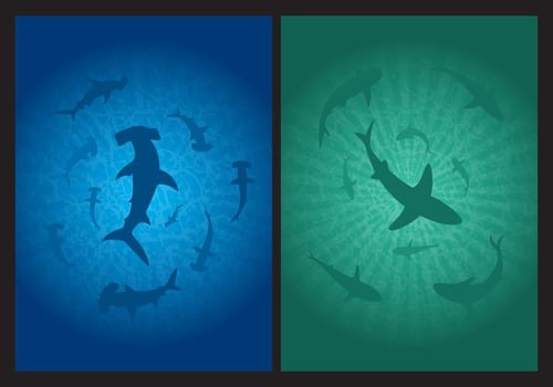 Shark Background Vectors