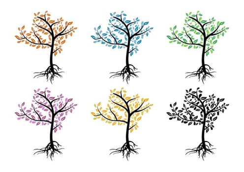 Seasonal Colourful Trees vector