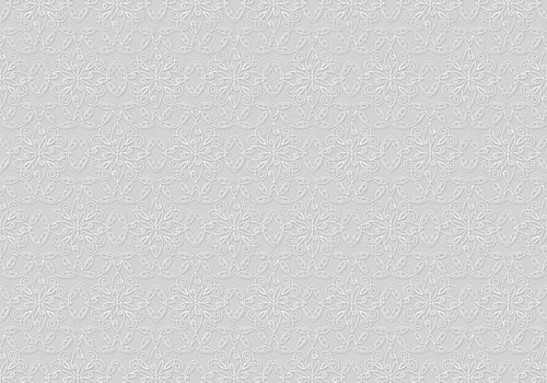 Lace Texture Vector