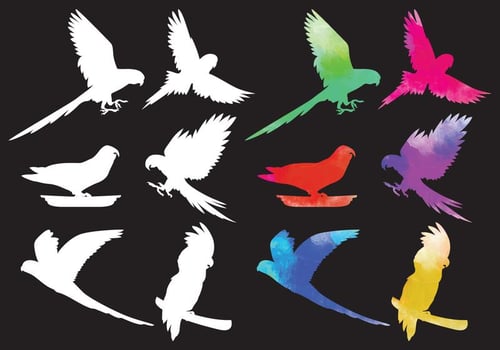 Tropical Bird Silhouette Vectors